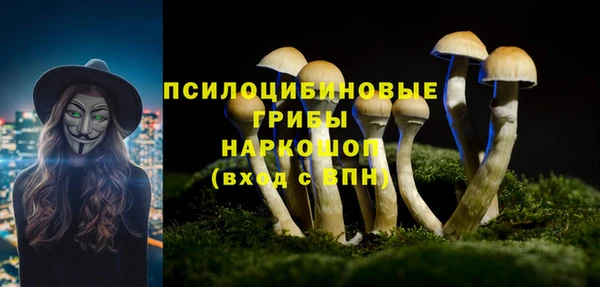 дурь Алексеевка
