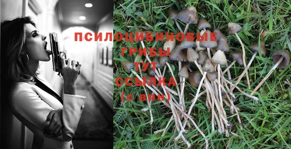 круглые Алзамай