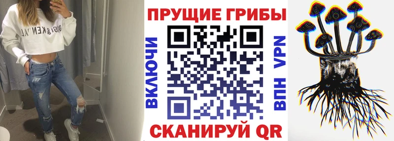 Галлюциногенные грибы MAGIC MUSHROOMS  купить   Артёмовск 